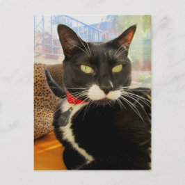 Hübsch Girl Lucy Postkarte