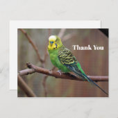 Hübsch Green Parakeet Foto Vielen Dank Postkarte (Vorne/Hinten)