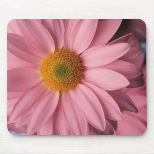 Hübsch im rosa Gänseblümchen Mousepad (Vorne)
