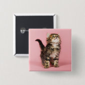 Hübsch im rosa Kätzchen Button (Vorne & Hinten)