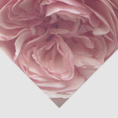 Hübsch im Rosa Seidenpapier (Ausschnitt)