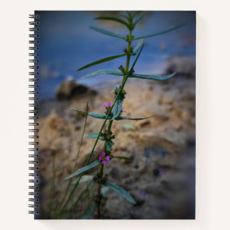 Hübsch in einem Lila Uni-Ruled-Notebook Notizblock