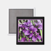 hübsch in lila Blume Magnet (Vorderseite/Rückseite)
