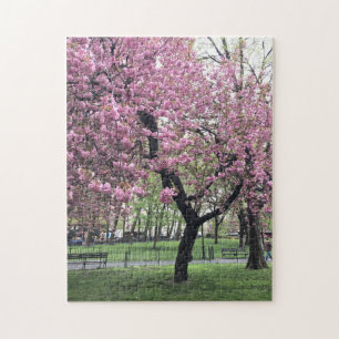 Hübsch in Pink Cherry Blossom Tree NYC New York Puzzle