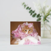 Hübsch in Pink Kitten Postkarte (Stehend Vorderseite)