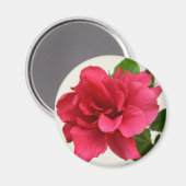Hübsch in Pink - Magnet (Vorderseite/Rückseite)