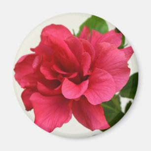 Hübsch in Pink - Magnet