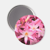 Hübsch in Pink... Magnet (Vorderseite/Rückseite)