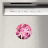 Hübsch in Pink... Magnet (In Situ (Geschirrspüler))