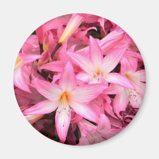 Hübsch in Pink... Magnet (Vorne)
