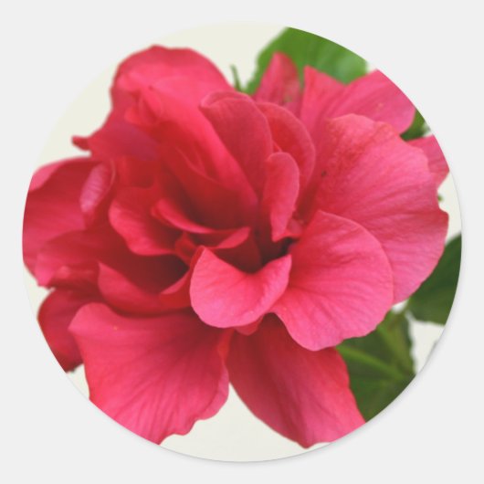 Hübsch in Rosa - Aufkleber (Vorderseite)