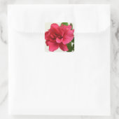 Hübsch in Rosa - Aufkleber (Tasche)