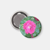 Hübsch in rosa Blume Magnet (Vorderseite/Rückseite)