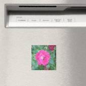Hübsch in rosa Blume Magnet (In Situ (Geschirrspüler))