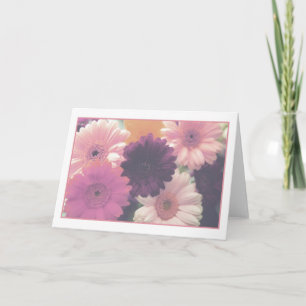 Hübsch in Rosa Daisy Blume Foto Grußkarte Karte