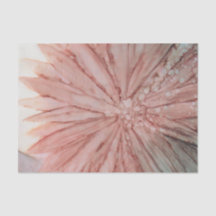 Hübsch in rosa Gewebpapier