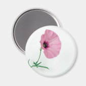 Hübsch in rosa magnet (Vorderseite/Rückseite)