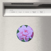 "Hübsch in Rosa" Magnet (In Situ (Geschirrspüler))