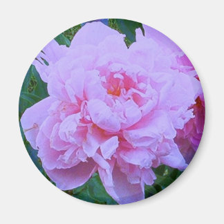 "Hübsch in Rosa" Magnet