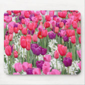 Hübsch in rosa Petalen Mousepad (Vorne)