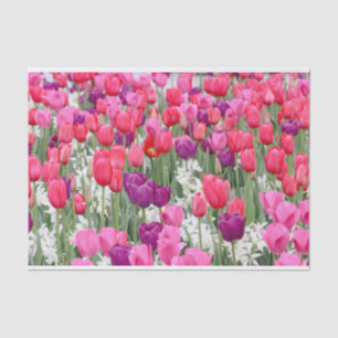 Hübsch in rosa Petalen Seidenpapier