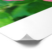 Hübsch in rosa poster (Ecke)