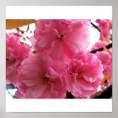 Hübsch in rosa poster (Vorne)