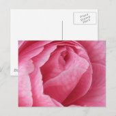 Hübsch in rosa postkarte (Vorne/Hinten)