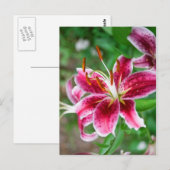 Hübsch in rosa postkarte (Vorne/Hinten)