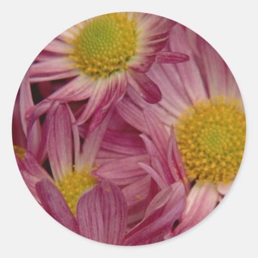 Hübsch in Rosa: Umschlag Aufkleber (Vorderseite)