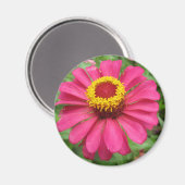 Hübsch in Rosa und Gelb Magnet (Vorderseite/Rückseite)