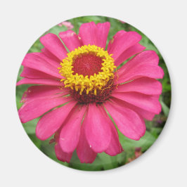 Hübsch in Rosa und Gelb Magnet