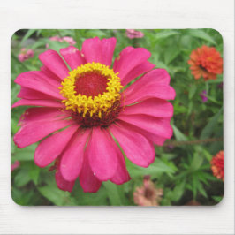 Hübsch in Rosa und Gelb Mousepad