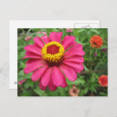 Hübsch in Rosa und Gelb Postkarte (Vorne/Hinten)