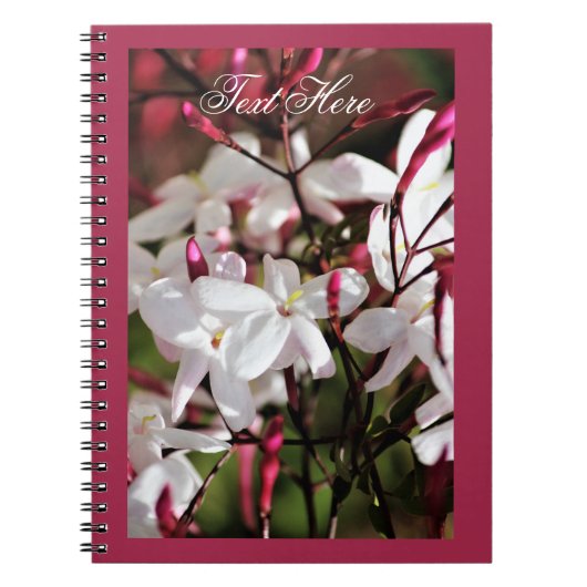 Hübsch Jasmine Maroon Spiral Foto Notebook Notizblock (Vorderseite)