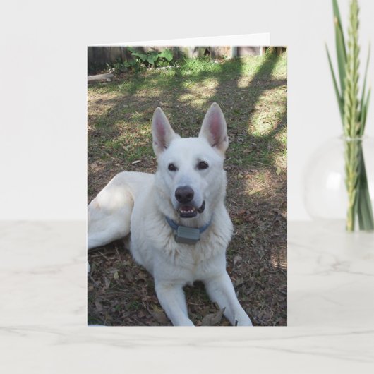 hübsch karte (Vorderseite)