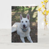 hübsch karte (Gelbe Blume)