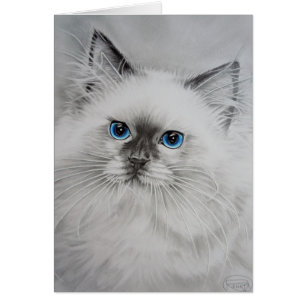 Hübsch Kitty