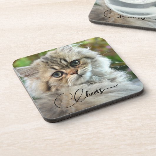 Hübsch Kitty Cat Lover Untersetzer (Linke Seite)