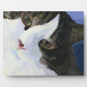 Hübsch Kitty Fotoplatte