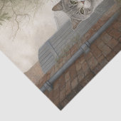 Hübsch Kitty Gray Cat Seidenpapier (Ausschnitt)