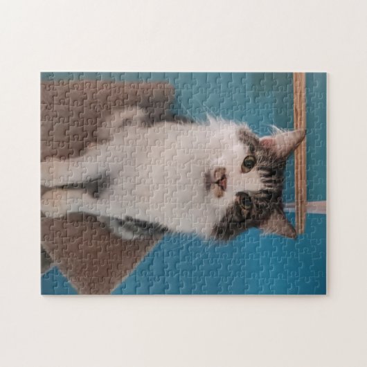 Hübsch Kitty Jigsaw Puzzle (Horizontal)