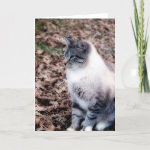 Hübsch Kitty Karte