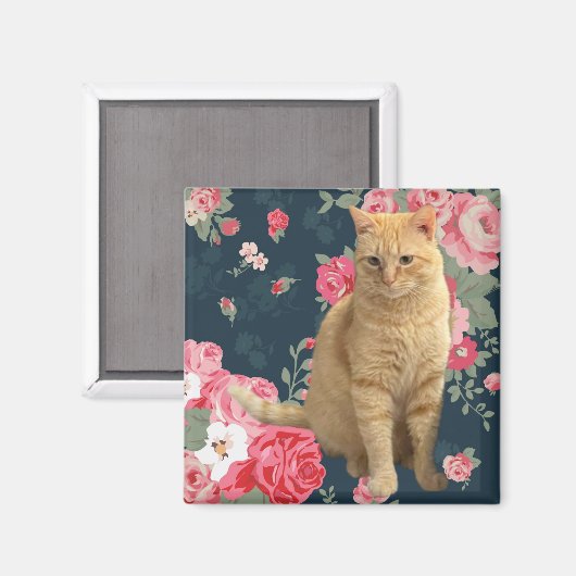 Hübsch Kitty Magnet (Vorderseite/Rückseite)