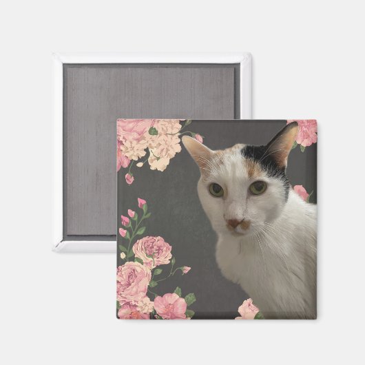 Hübsch Kitty Magnet (Vorderseite/Rückseite)