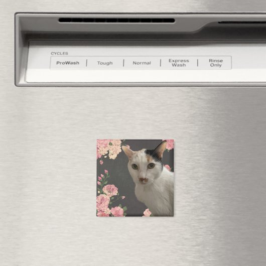 Hübsch Kitty Magnet (In Situ (Geschirrspüler))