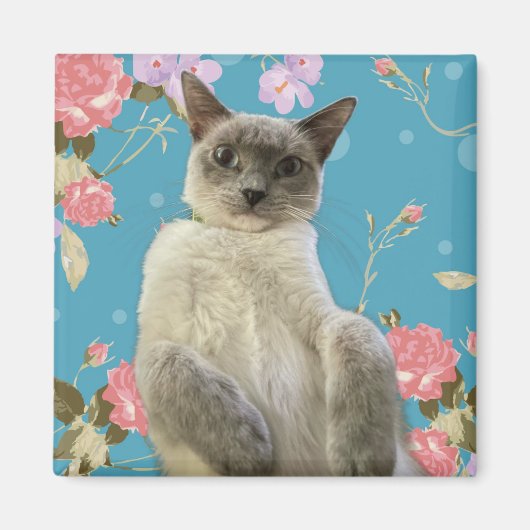 Hübsch Kitty Magnet (Vorne)