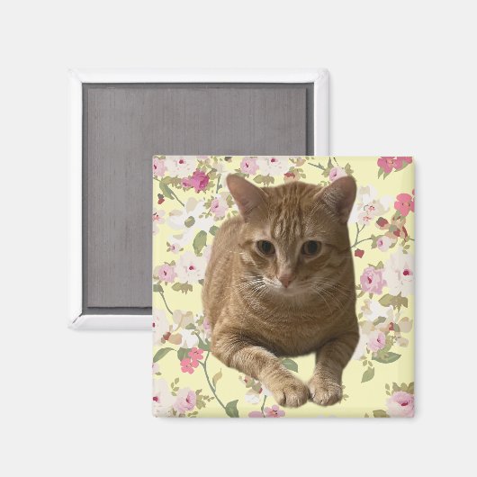 Hübsch Kitty Magnet (Vorderseite/Rückseite)