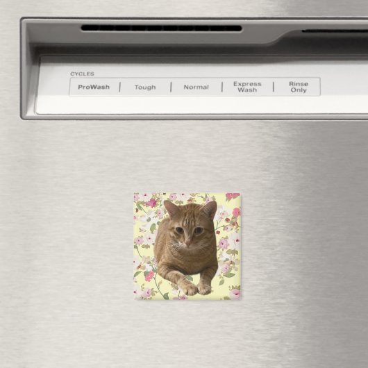 Hübsch Kitty Magnet (In Situ (Geschirrspüler))