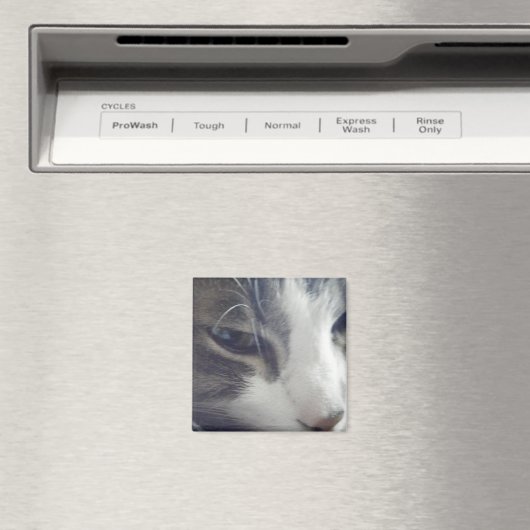 Hübsch Kitty Magnet (In Situ (Geschirrspüler))